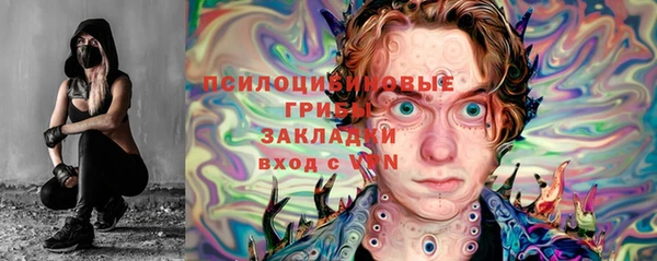 СК Инсар